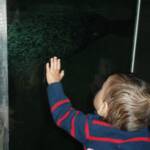 My first birthday at the Maritime Aquarium